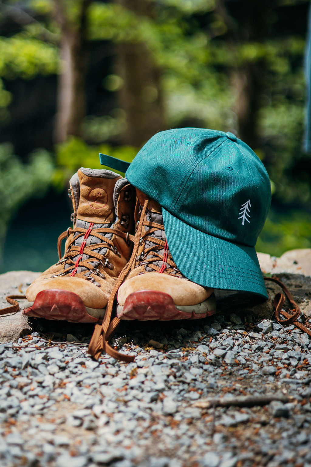 Always Going Somewhere Dad Cap in Pine