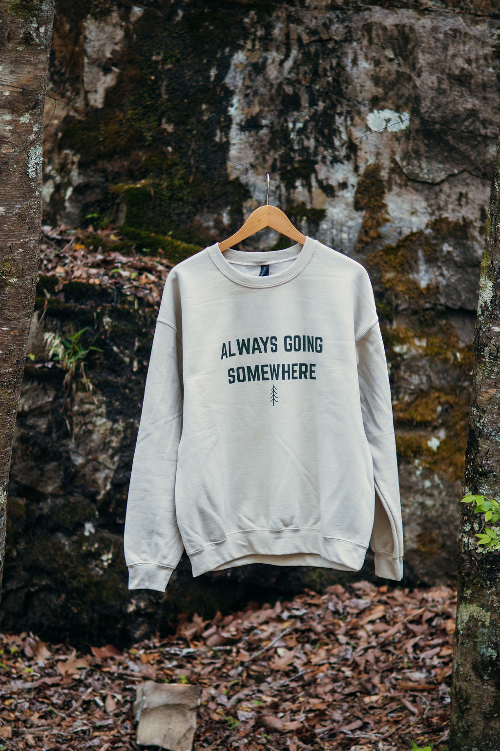 Always Going Somewhere Crewneck in Sand