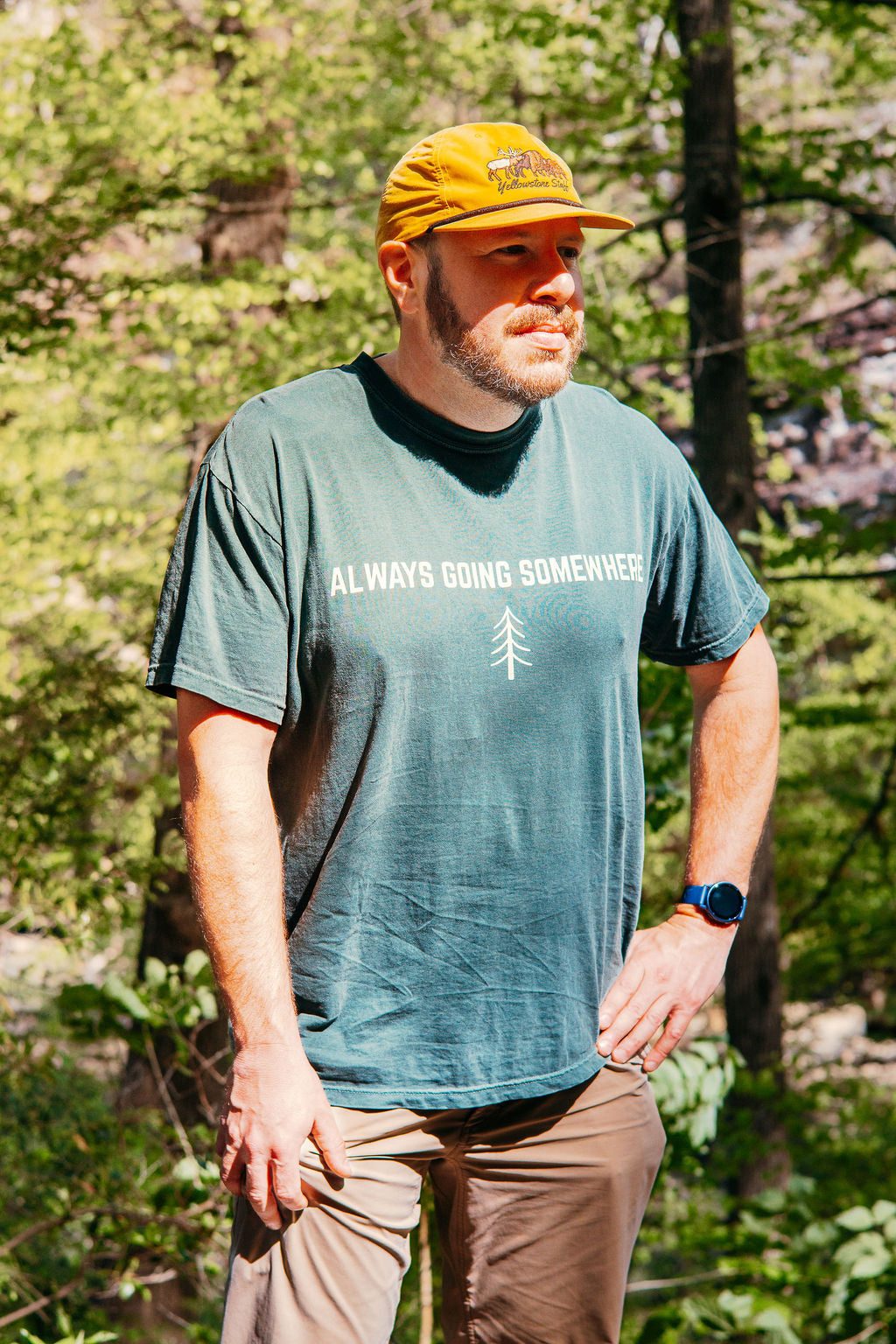 Always Going Somewhere Tee in Pine