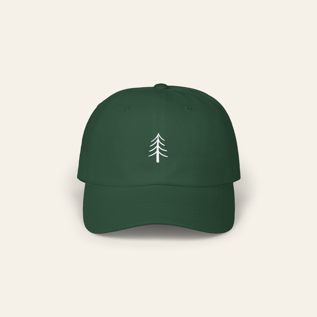 Always Going Somewhere Dad Cap in Pine
