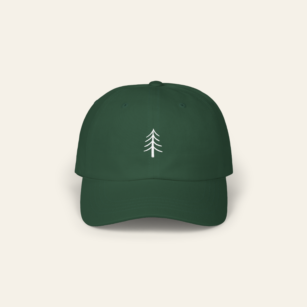 Always Going Somewhere Dad Cap in Pine